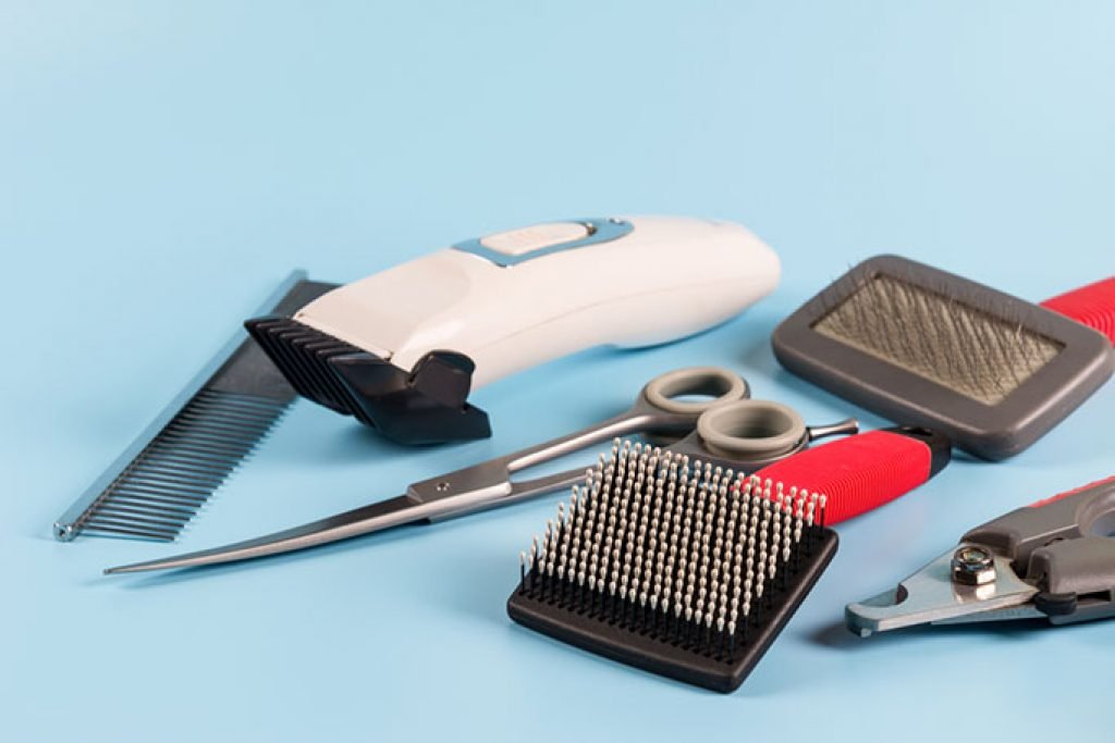 How To Choose The Best Grooming Tools For Pets
