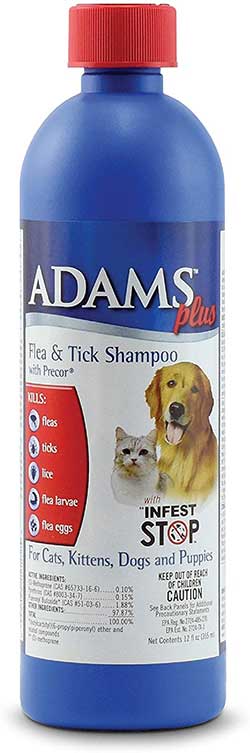 Flea & Tick Shampoo