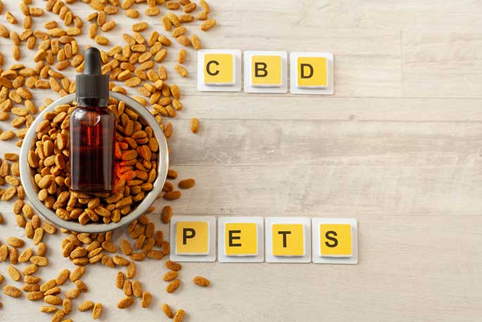 CBD Oil and Your Pets