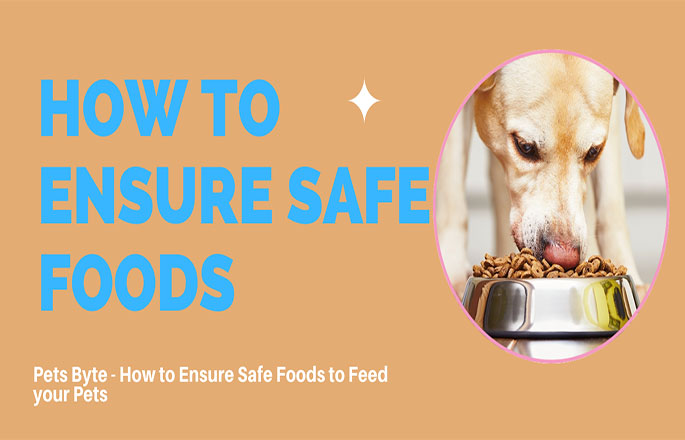 Pets Byte - How to Ensure Safe Foods to Feed your Pets