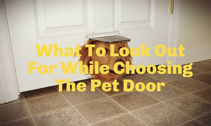 What To Look Out For While Choosing The Pet Door