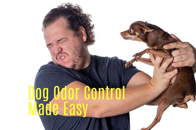 dog odor control