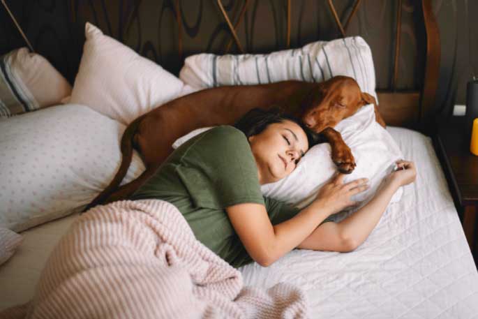 sharing bed with a dog