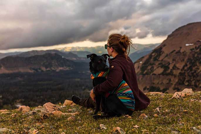 Dogs Love These Travel Places In The USA