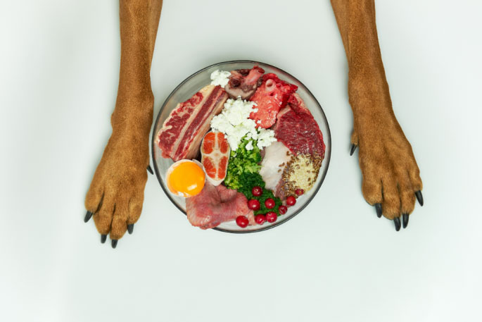 raw diet food for dogs