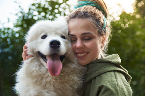 Samoyed is a family friendly dog