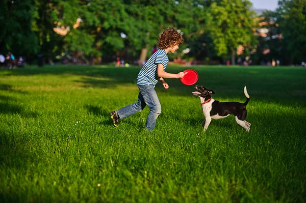 Dog and kid bond