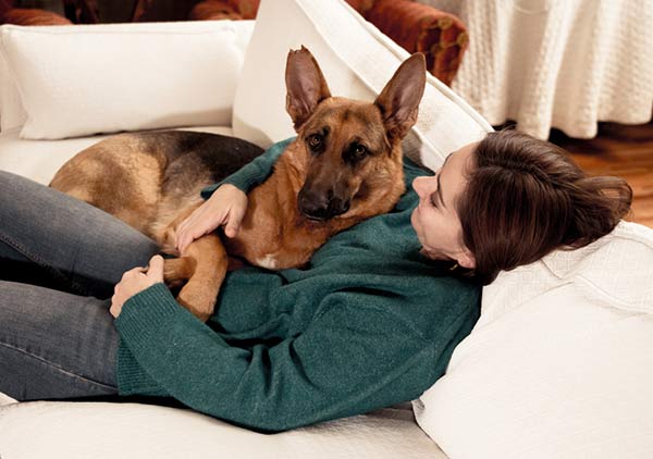 best supplements for German shepherds