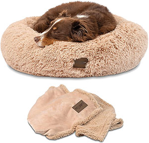 Calming Dog Bed for Small Dogs 