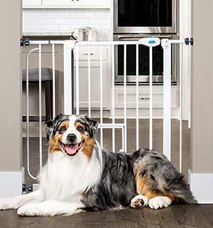 Carlson_dog gates indoor