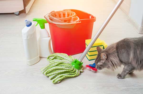 Keep Your Pets Safe From Toxic Cleaning Products