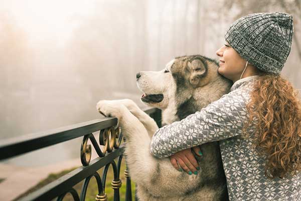 why pets are good for your health