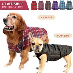 Cold Weather Dog Jacket