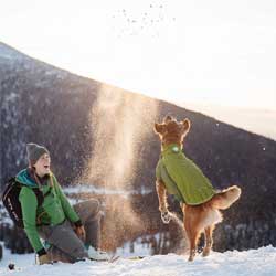 Cold Weather Jacket For Dogs