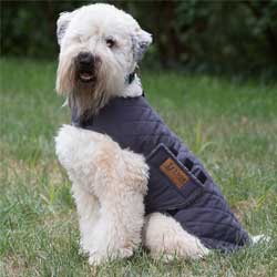 Personalized Dog Jacket