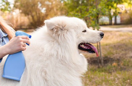 Best Flea And Tick Spray For Dogs