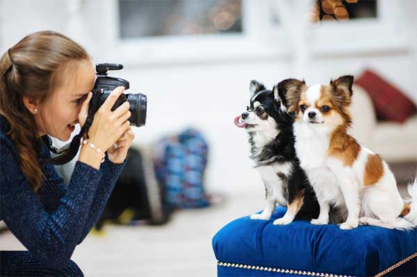 how to pet photography