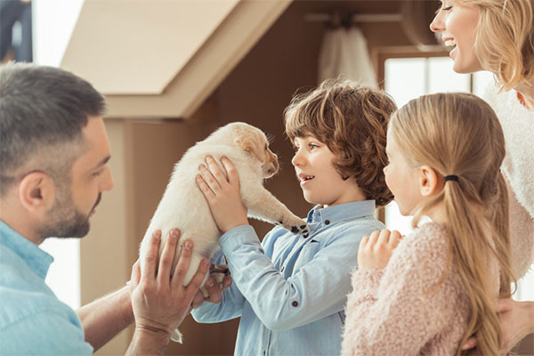 tips for bringing home a new puppy