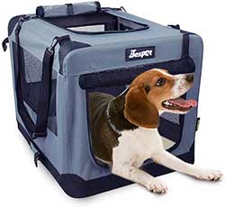 Soft Sided Folding Travel Pet Carrier