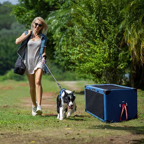 Soft Sided Collapsible Dog Crates