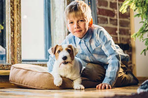 dog breeds for families with kids