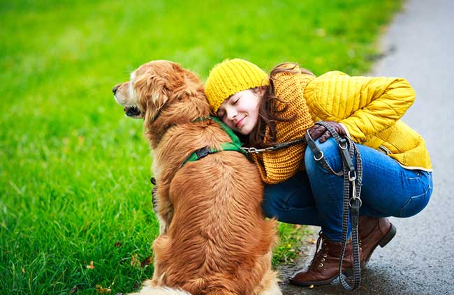 Dog Care Tips To Keep Your Pet Healthy