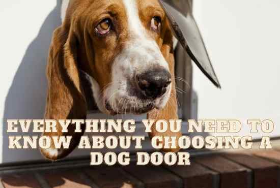 dog doors for sliding glass doors