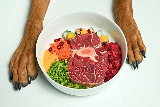 feeding recommendations for dogs