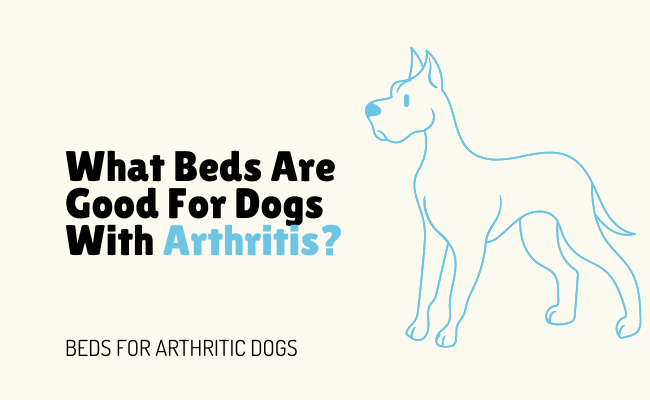 beds for arthritic dogs