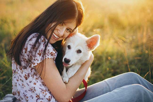 what to know before adopting a dog