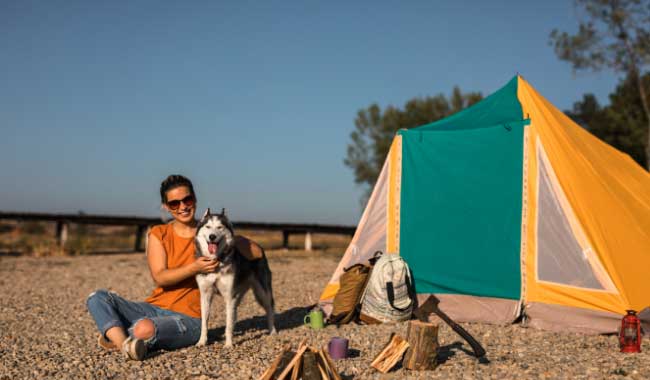 camping with a dog