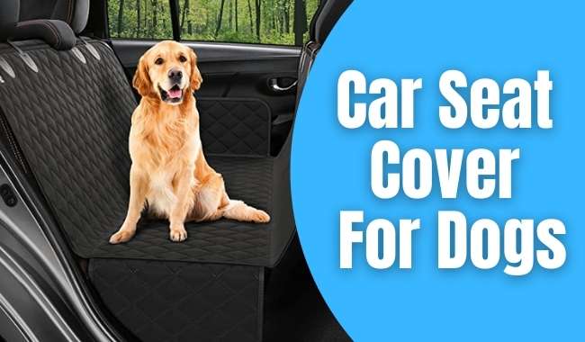 car seat cover for dogs