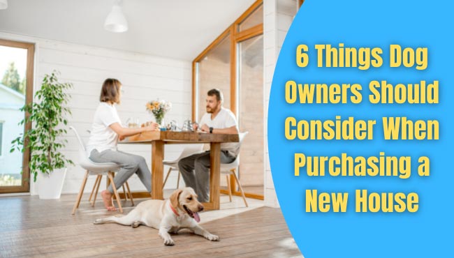 pet lovers guide to buying home