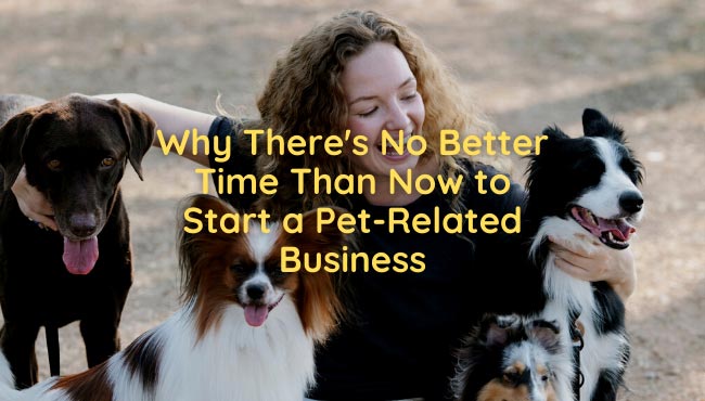 start a pet business