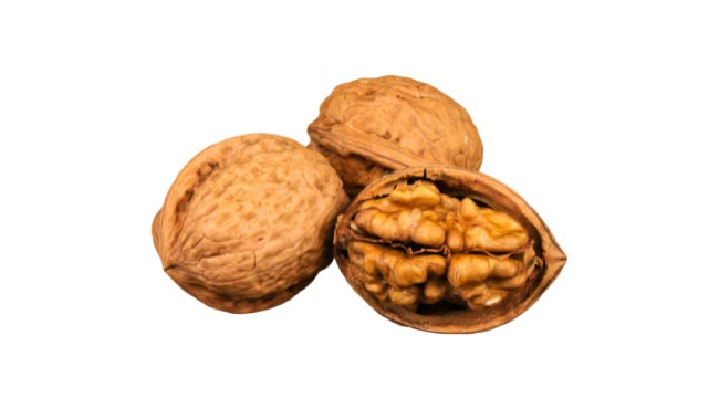 Are walnuts poisonous to cats?