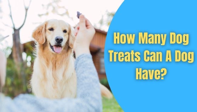 How Many Dog Treats Can A Dog Have
