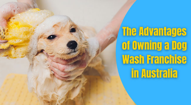 Dog Wash Franchise in Australia