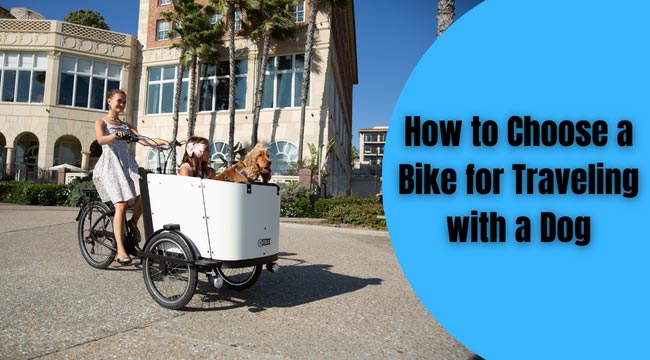 How to Choose a Bike for Traveling with a Dog