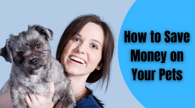 How to Save Money on Your Pets