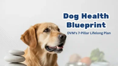 Dog Health Blueprint DVM's 7-Pillar Lifelong Plan