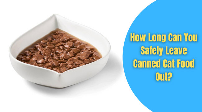 How Long Can You Safely Leave Canned Cat Food Out how-long-can-you-safely-leave-canned-cat-food-out