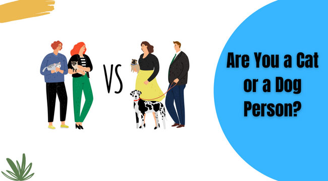 Are You a Cat or a Dog Person?