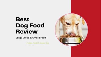 Dog Food Reviewa