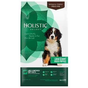 Holistic Select Large & Giant Breed Puppy