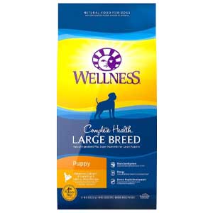 Wellness Large Breed puppy food review