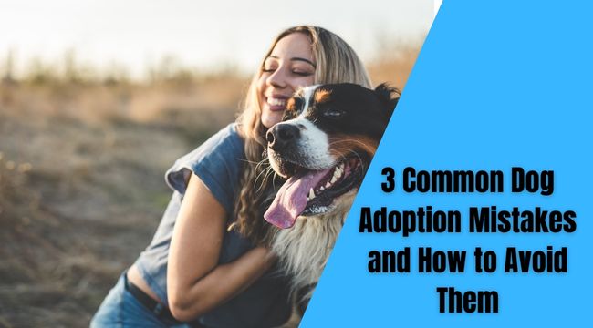 Common Dog Adoption Mistakes and How to Avoid Them