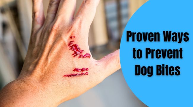 dog biting prevention