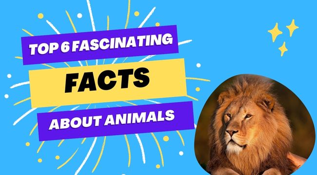 animal facts interesting