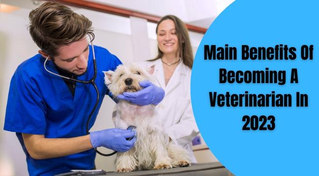 benefits of becoming a veterinarian