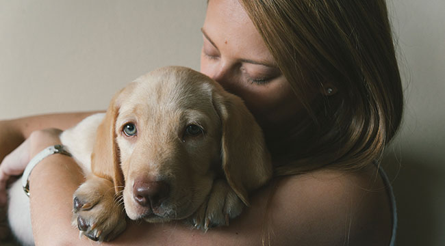 Things A Lab Owner Must Know